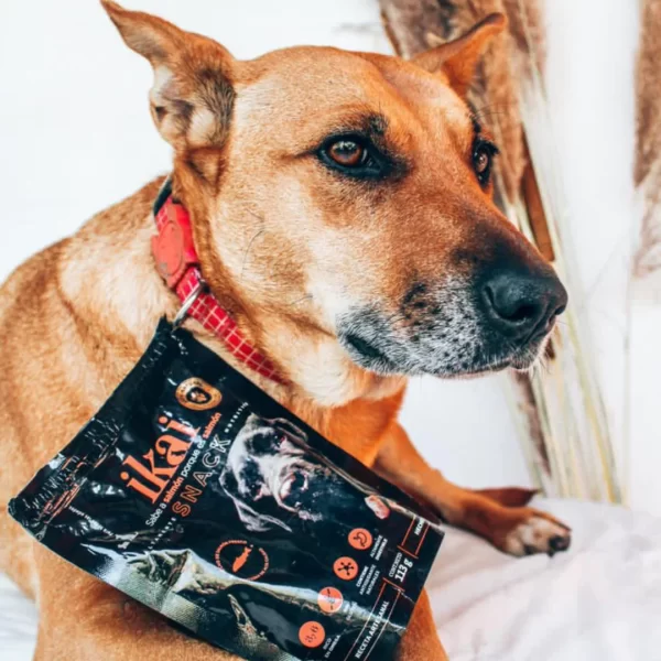 IKAI SNACK DE SALMÓN PREMIUM PARA PERRO Grupo Kimba Textiles