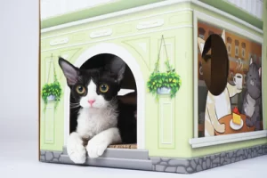 Rascador gato cartón: cómo elegir el mejor rascador para gatos