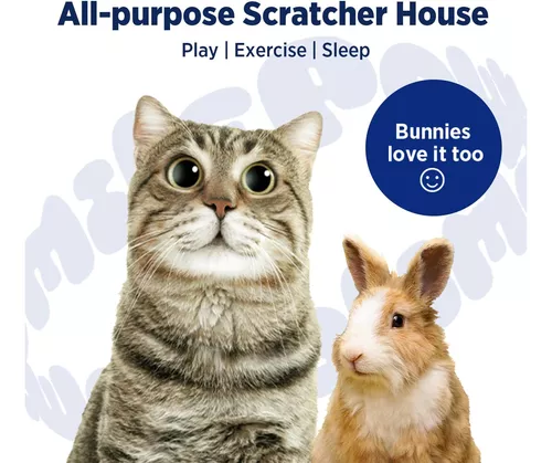 CAT&BUNNY