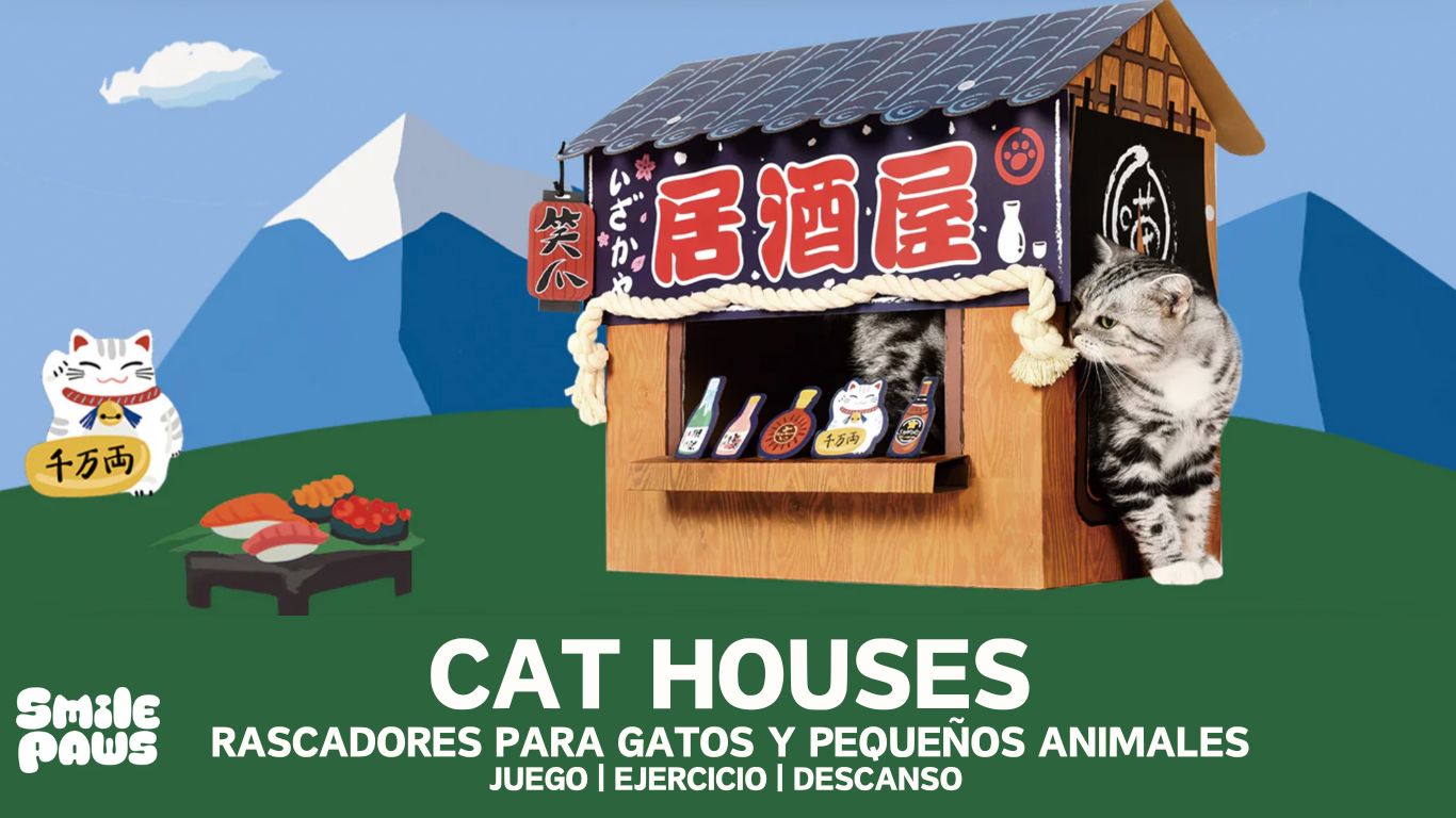 Cat Houses Rascadores Para Gatos Y Pequenos Animales Juego Ejercicio Descanso