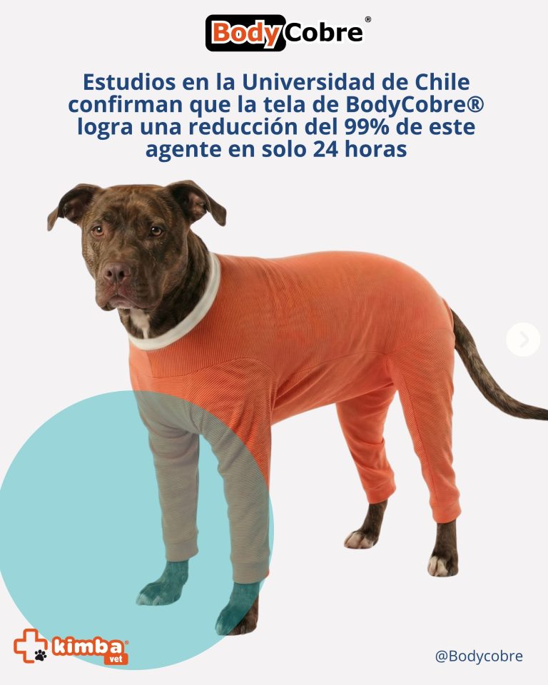 El informe Nº2018/09 de la Universidad de Chile, firmado por el Dr. Eduardo Álvarez Duarte, confirma que la tecnología de cobre integrada en textiles es altamente efectiva para combatir microorganismos. En este contexto, la tela del BodyCobre® con cobre y zinc, desarrollada por Textil Kimba, no solo cumple una función textil, sino que aporta una capa adicional de protección basada en ciencia real.