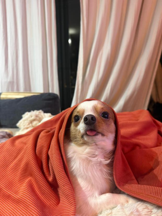 Paciente dermatológico descansando sobre MantaCobre